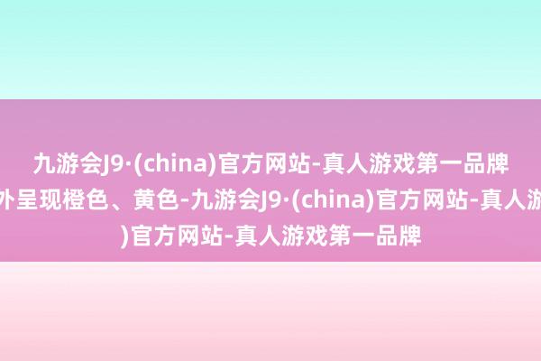 九游会J9·(china)官方网站-真人游戏第一品牌然后由内向外呈现橙色、黄色-九游会J9·(china)官方网站-真人游戏第一品牌