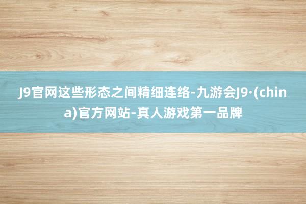 J9官网这些形态之间精细连络-九游会J9·(china)官方网站-真人游戏第一品牌