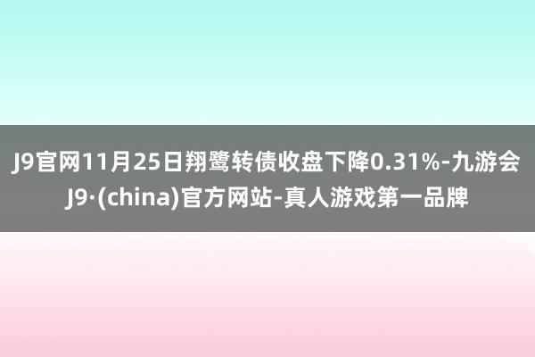 J9官网11月25日翔鹭转债收盘下降0.31%-九游会J9·(china)官方网站-真人游戏第一品牌