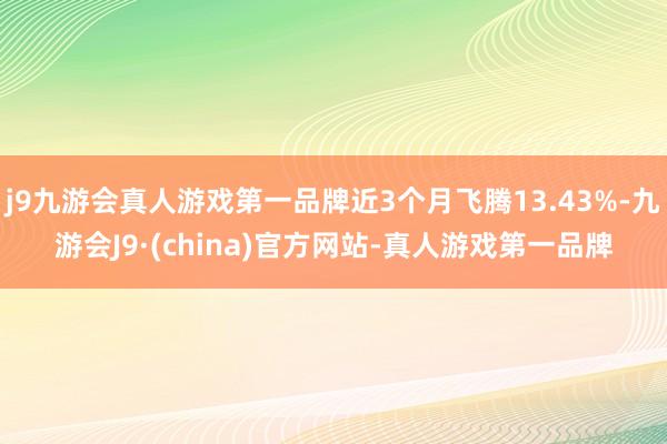 j9九游会真人游戏第一品牌近3个月飞腾13.43%-九游会J9·(china)官方网站-真人游戏第一品牌