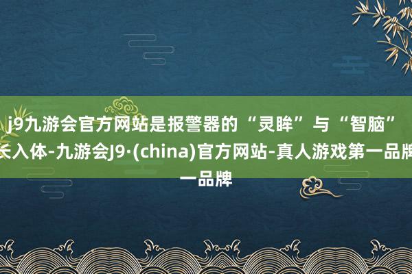 j9九游会官方网站是报警器的 “灵眸” 与 “智脑” 长入体-九游会J9·(china)官方网站-真人游戏第一品牌