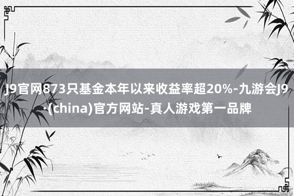 J9官网873只基金本年以来收益率超20%-九游会J9·(china)官方网站-真人游戏第一品牌